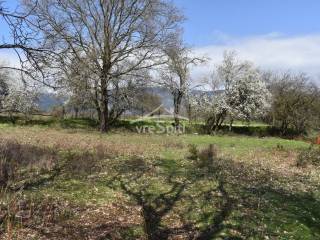 ΑΠΟΨΗ ΟΙΚΟΠΕΔΟΥ