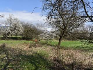 ΑΠΟΨΗ ΟΙΚΟΠΕΔΟΥ