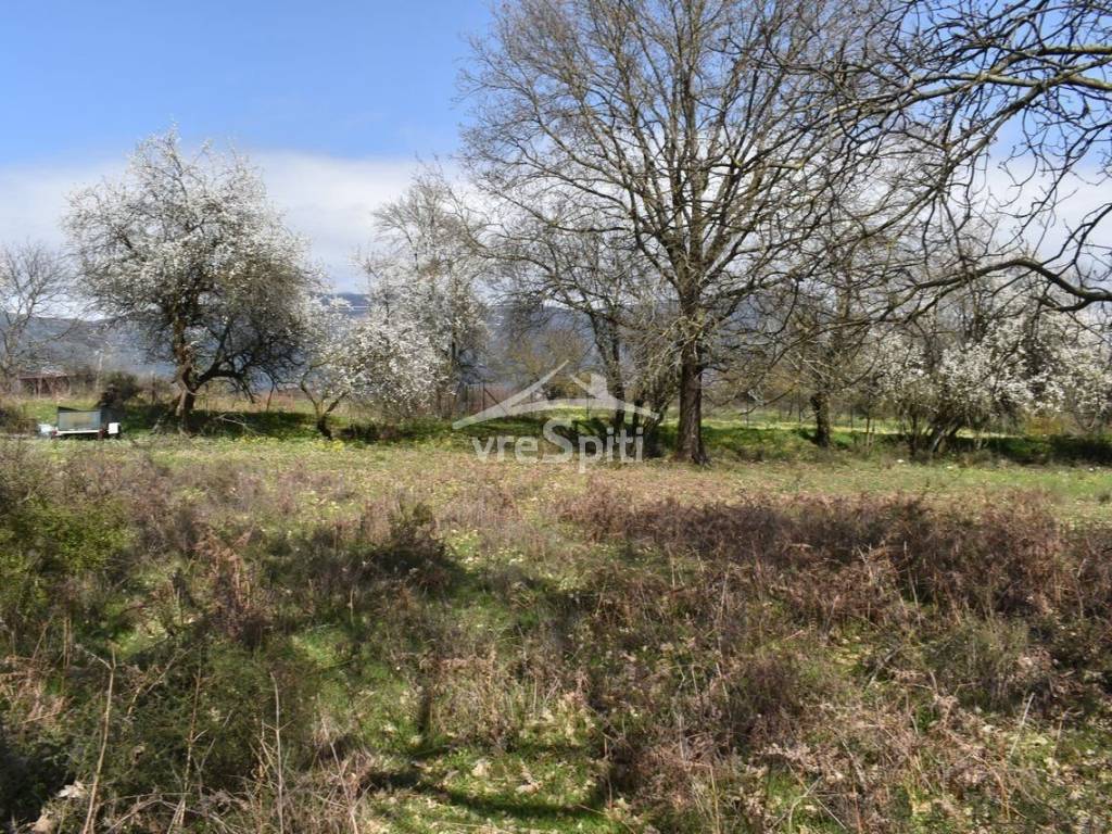 ΑΠΟΨΗ ΟΙΚΟΠΕΔΟΥ