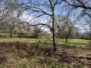 ΑΠΟΨΗ ΟΙΚΟΠΕΔΟΥ