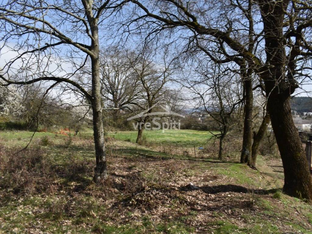 ΑΠΟΨΗ ΟΙΚΟΠΕΔΟΥ