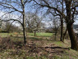 ΑΠΟΨΗ ΟΙΚΟΠΕΔΟΥ