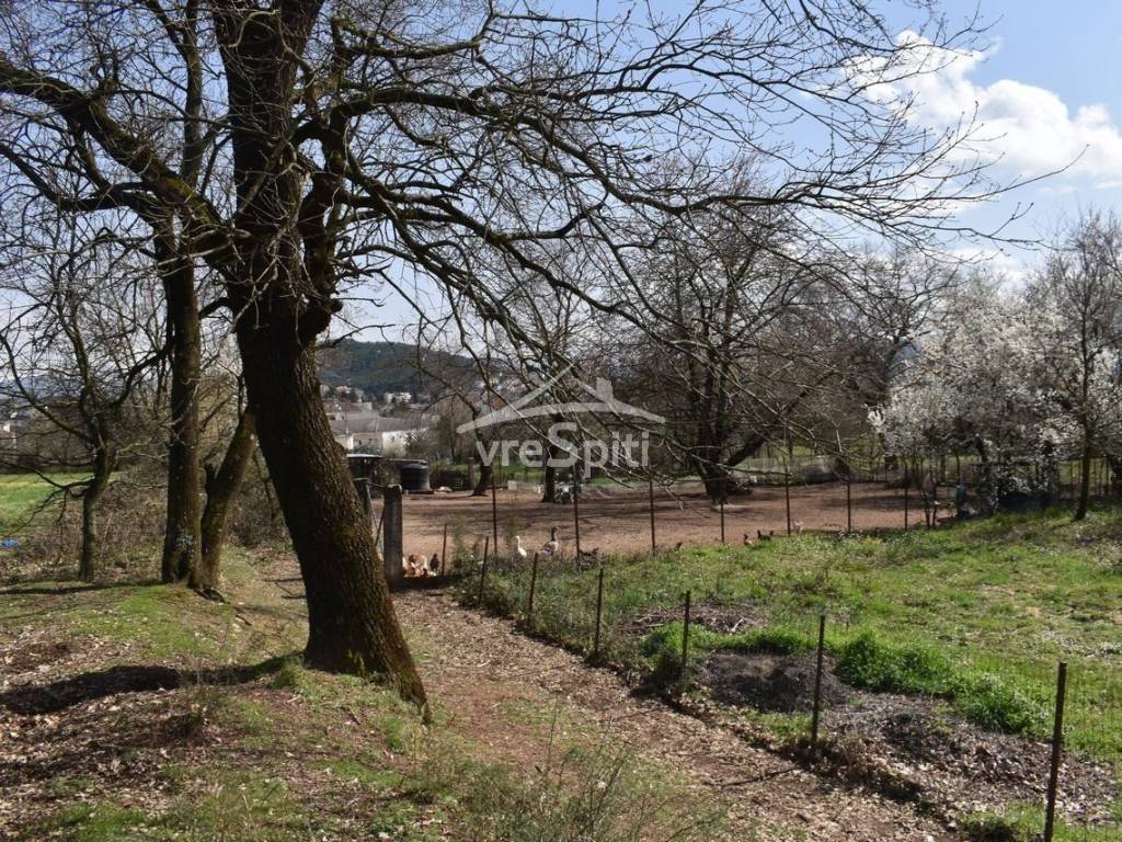 ΑΠΟΨΗ ΟΙΚΟΠΕΔΟΥ