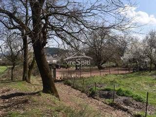 ΑΠΟΨΗ ΟΙΚΟΠΕΔΟΥ