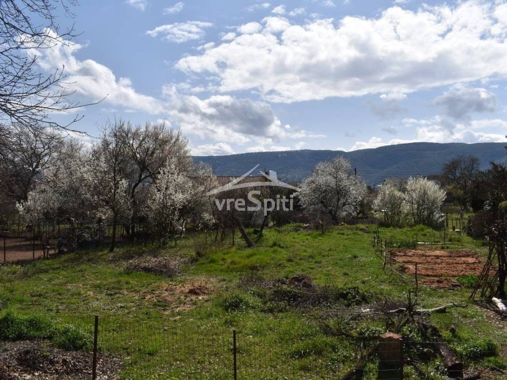 ΑΠΟΨΗ ΟΙΚΟΠΕΔΟΥ