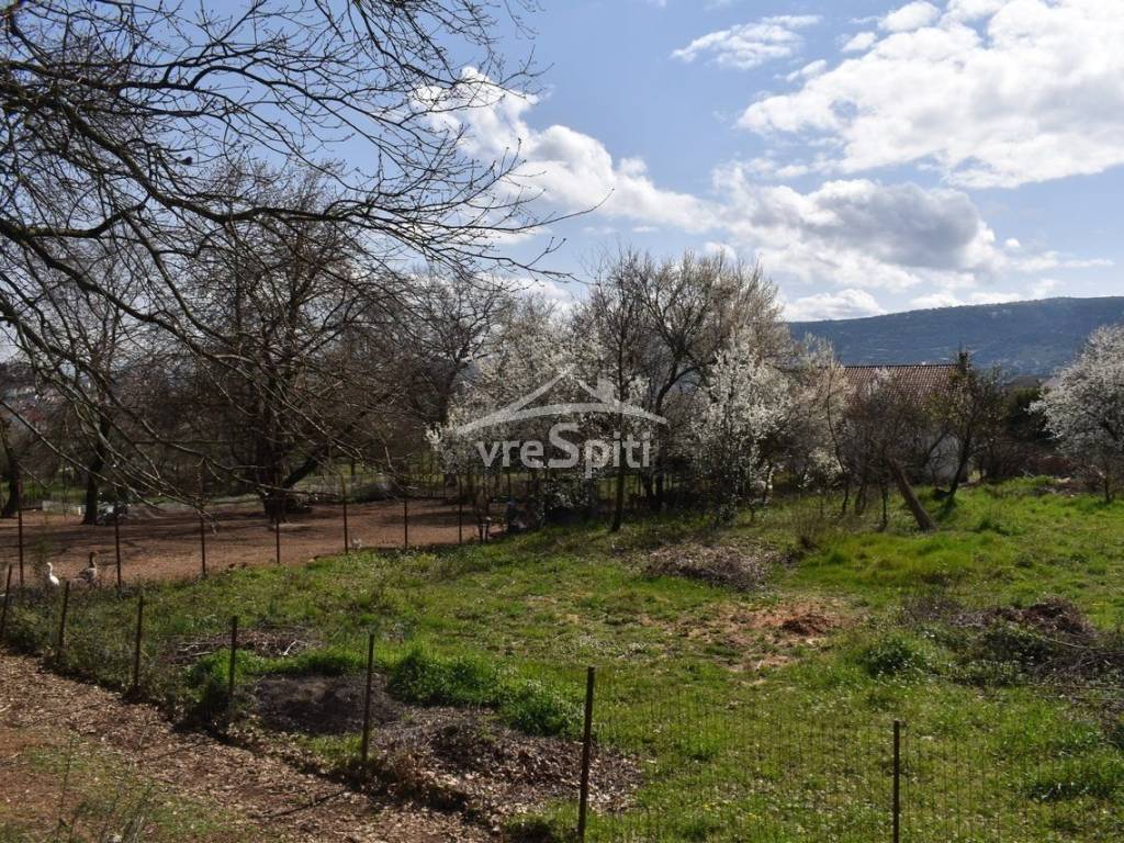 ΑΠΟΨΗ ΟΙΚΟΠΕΔΟΥ