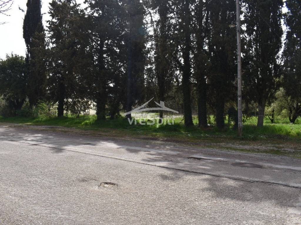 Φωτογραφίες Οικοπέδου