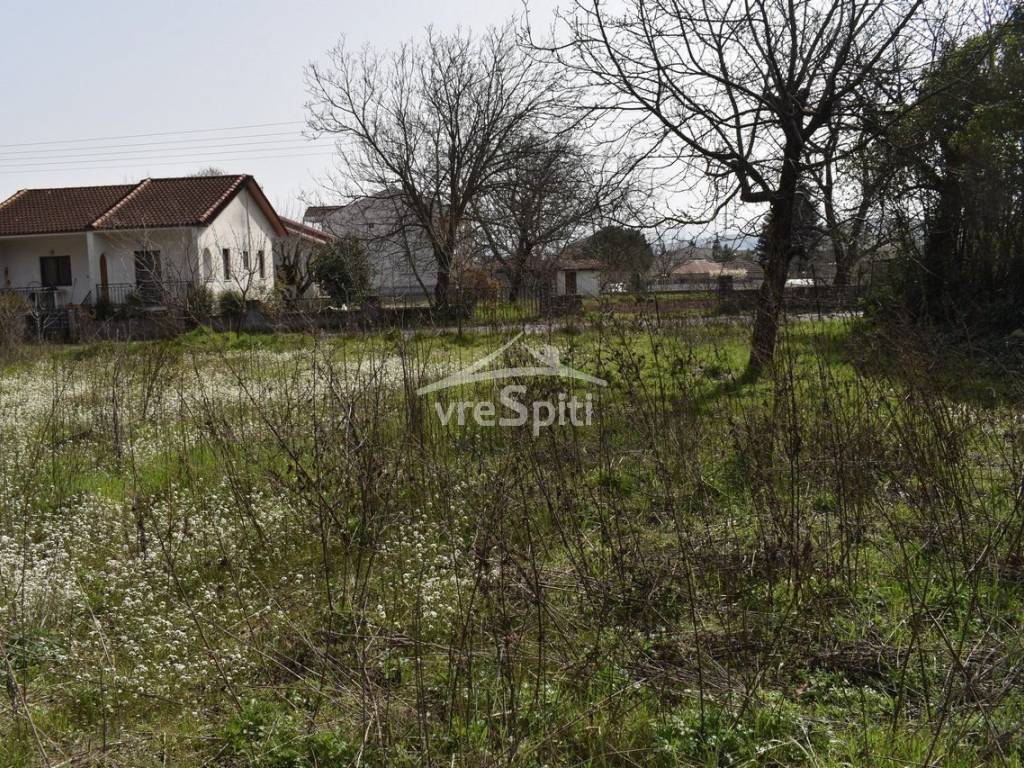 Φωτογραφίες Οικοπέδου