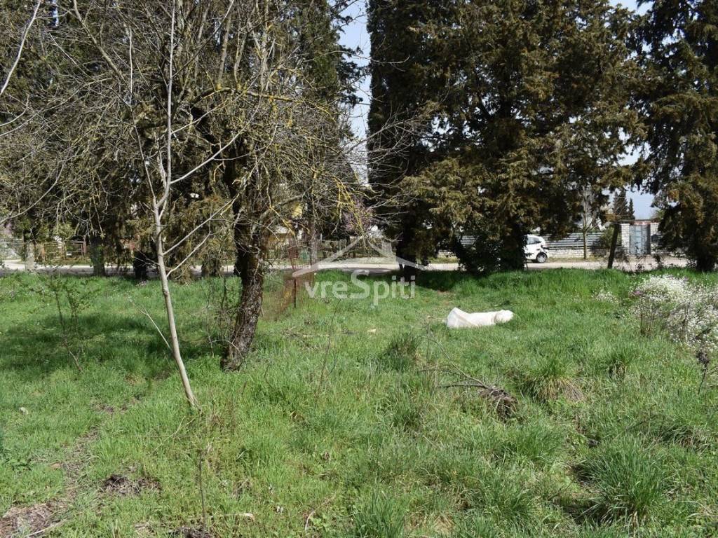 Φωτογραφίες Οικοπέδου