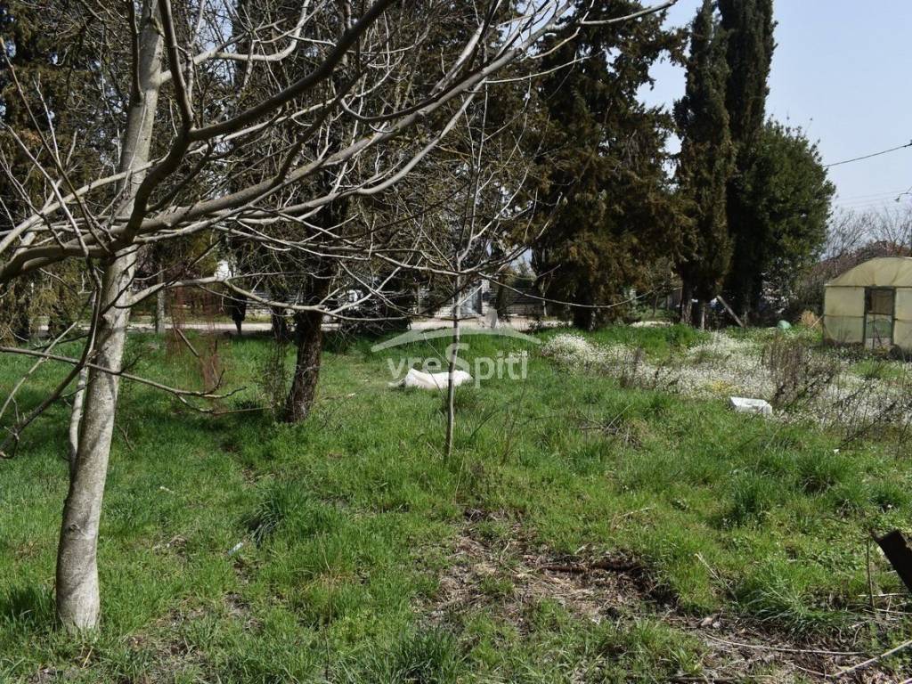 Φωτογραφίες Οικοπέδου