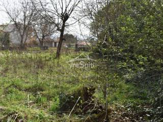 Φωτογραφίες Οικοπέδου