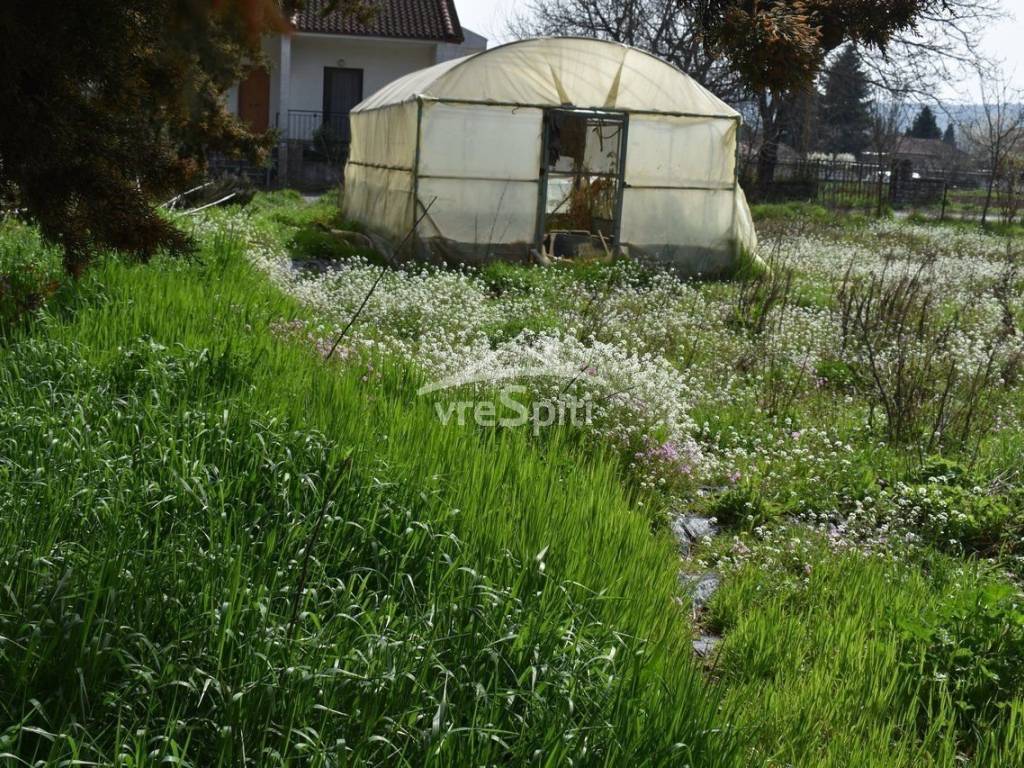 Φωτογραφίες Οικοπέδου