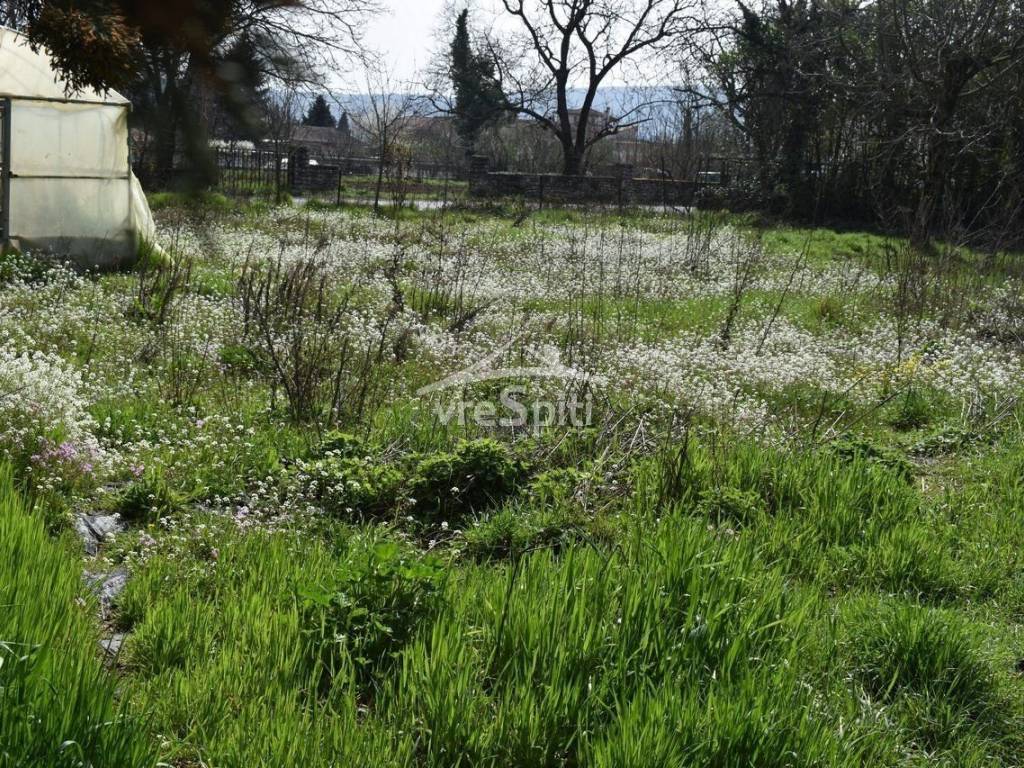Φωτογραφίες Οικοπέδου
