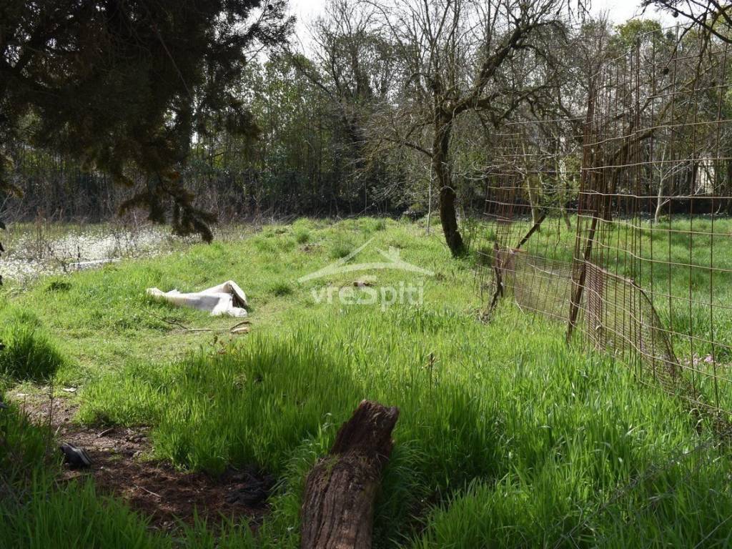 Φωτογραφίες Οικοπέδου
