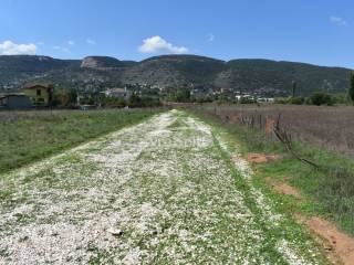 ΑΠΟΨΗ ΟΙΚΟΠΕΔΟΥ