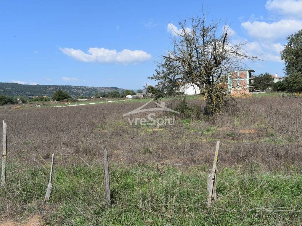 ΑΠΟΨΗ ΟΙΚΟΠΕΔΟΥ