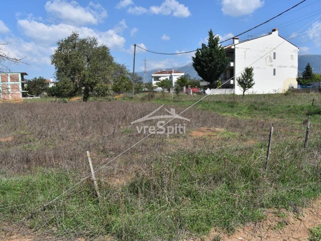 ΑΠΟΨΗ ΟΙΚΟΠΕΔΟΥ