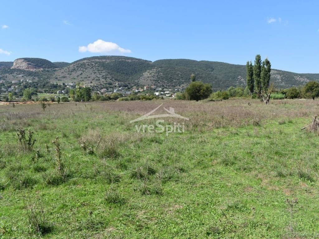 ΑΠΟΨΗ ΟΙΚΟΠΕΔΟΥ