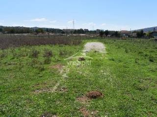 ΑΠΟΨΗ ΟΙΚΟΠΕΔΟΥ