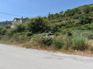 ΑΠΟΨΗ ΟΙΚΟΠΕΔΟΥ