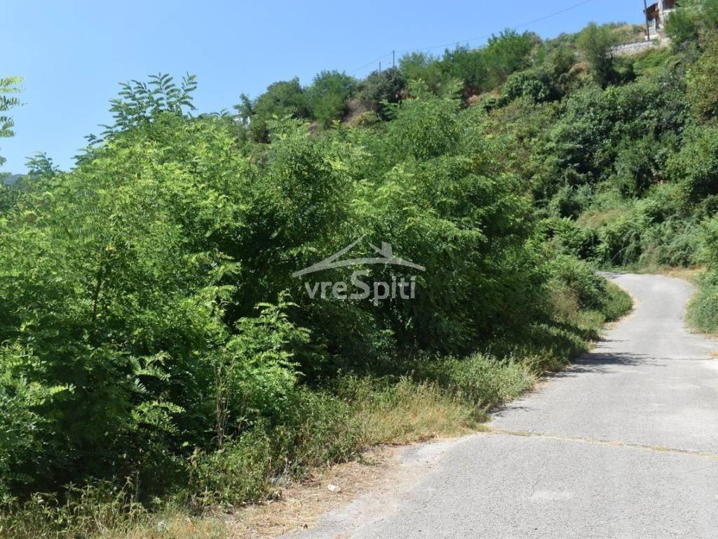 ΑΠΟΨΗ ΟΙΚΟΠΕΔΟΥ