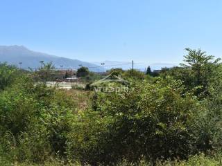 ΑΠΟΨΗ ΟΙΚΟΠΕΔΟΥ