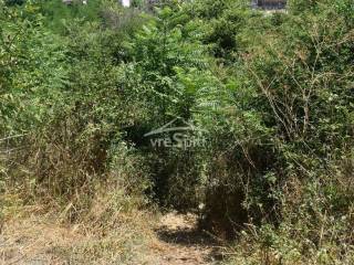 ΑΠΟΨΗ ΟΙΚΟΠΕΔΟΥ