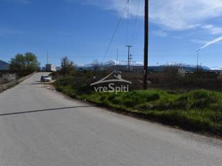 ΑΠΟΨΗ ΑΓΡΟΤΕΜΑΧΙΟΥ