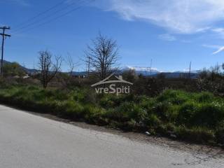 ΑΠΟΨΗ ΑΓΡΟΤΕΜΑΧΙΟΥ