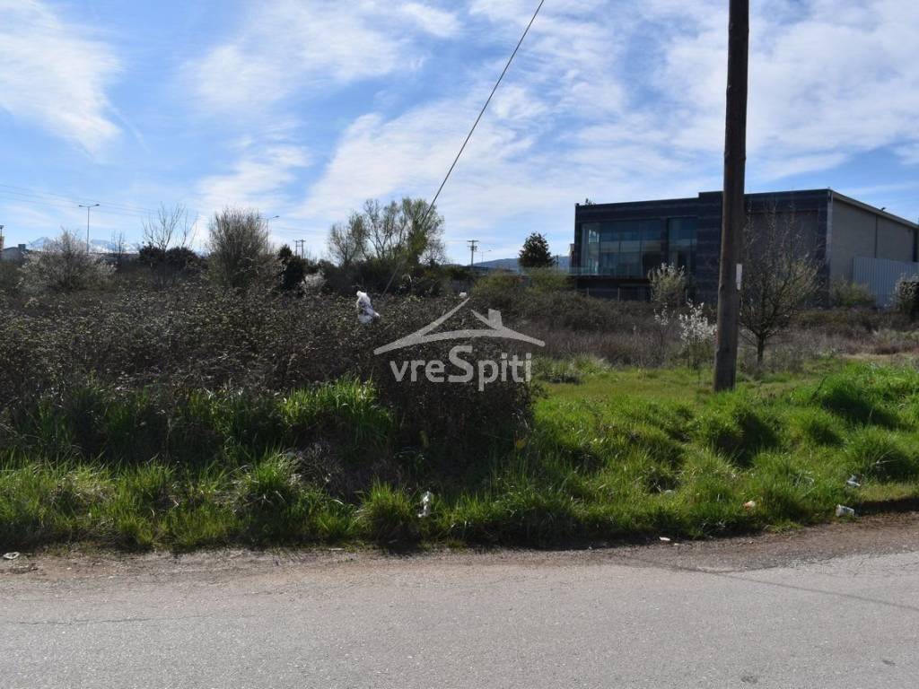 ΑΠΟΨΗ ΑΓΡΟΤΕΜΑΧΙΟΥ