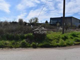 ΑΠΟΨΗ ΑΓΡΟΤΕΜΑΧΙΟΥ