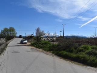 ΑΠΟΨΗ ΑΓΡΟΤΕΜΑΧΙΟΥ