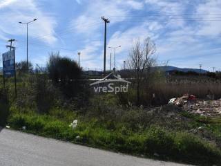 ΑΠΟΨΗ ΑΓΡΟΤΕΜΑΧΙΟΥ