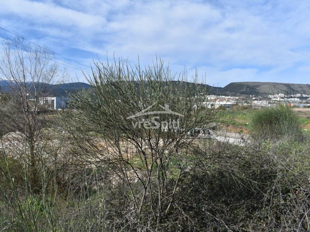 ΑΠΟΨΗ ΑΓΡΟΤΕΜΑΧΙΟΥ