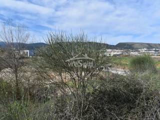 ΑΠΟΨΗ ΑΓΡΟΤΕΜΑΧΙΟΥ