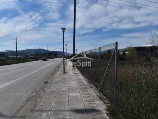 ΑΠΟΨΗ ΑΓΡΟΤΕΜΑΧΙΟΥ