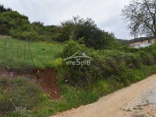 ΑΠΟΨΗ ΟΙΚΟΠΕΔΟΥ