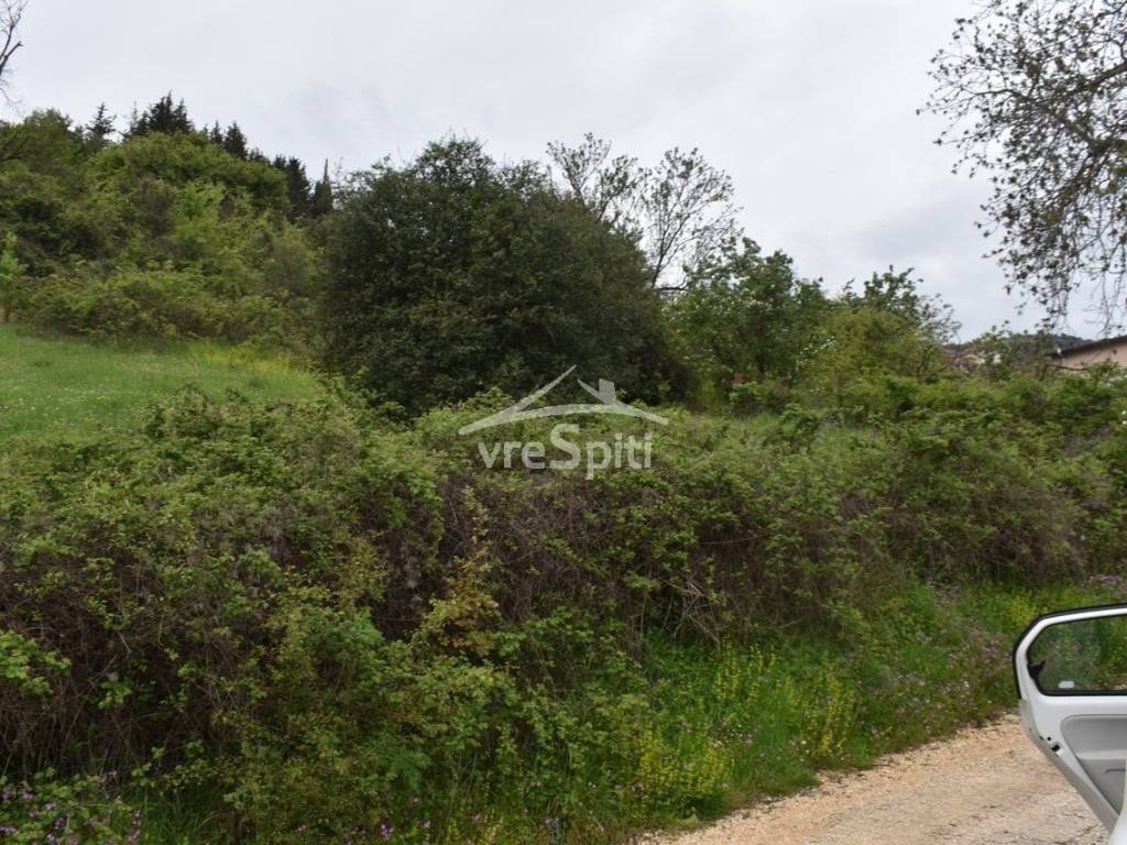 ΑΠΟΨΗ ΟΙΚΟΠΕΔΟΥ