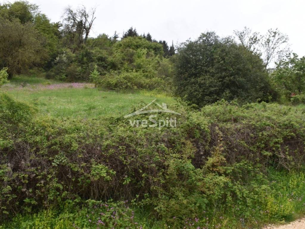 ΑΠΟΨΗ ΟΙΚΟΠΕΔΟΥ