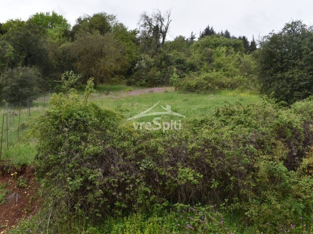 ΑΠΟΨΗ ΟΙΚΟΠΕΔΟΥ