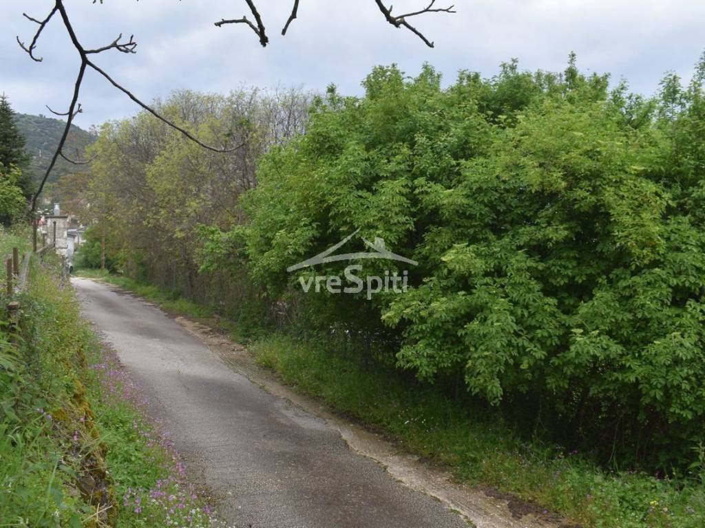 ΑΠΟΨΗ ΟΙΚΟΠΕΔΟΥ