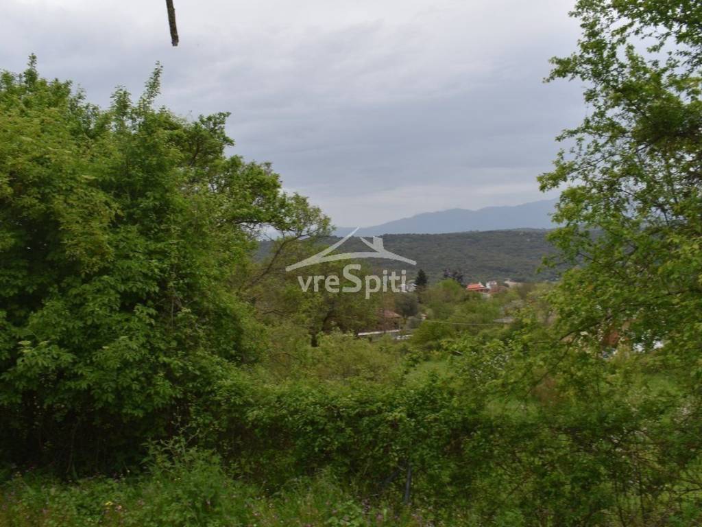 ΑΠΟΨΗ ΟΙΚΟΠΕΔΟΥ