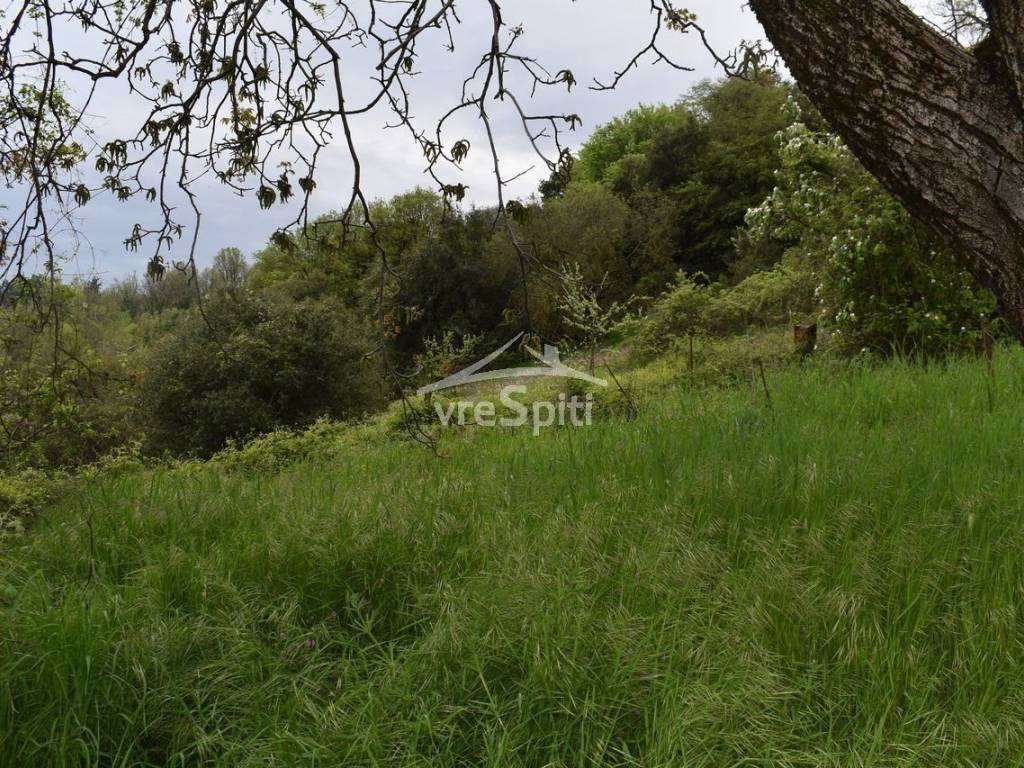 ΑΠΟΨΗ ΟΙΚΟΠΕΔΟΥ