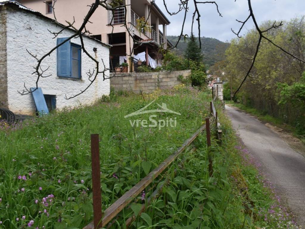 ΑΠΟΨΗ ΟΙΚΟΠΕΔΟΥ