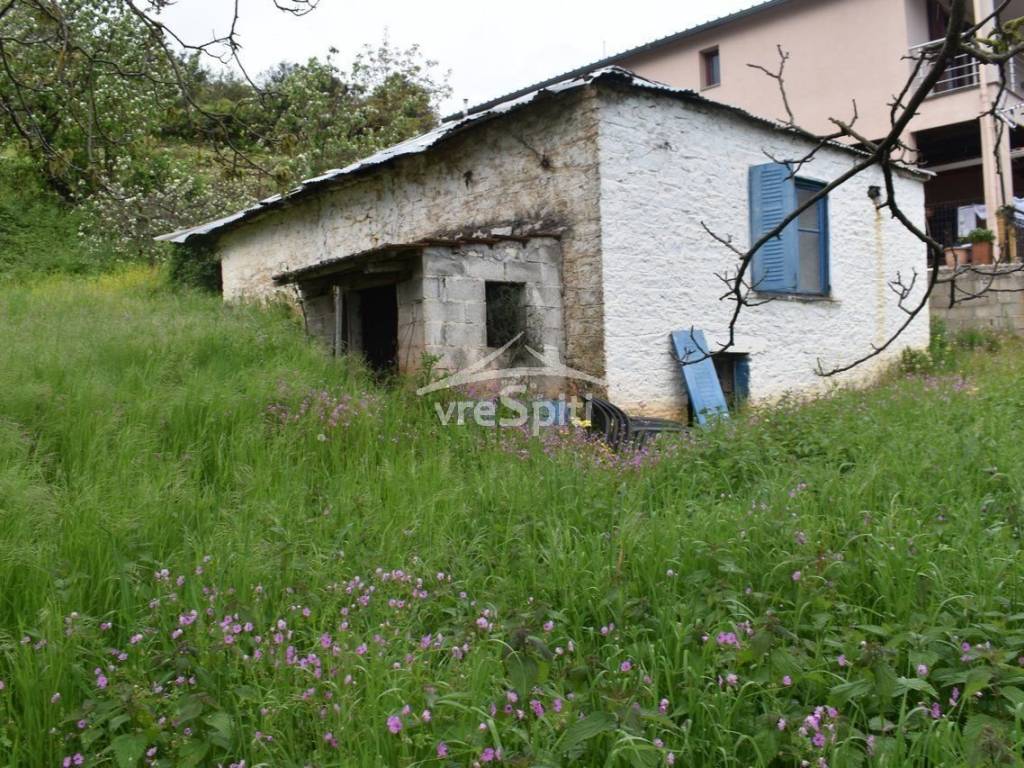 ΑΠΟΨΗ ΟΙΚΟΠΕΔΟΥ