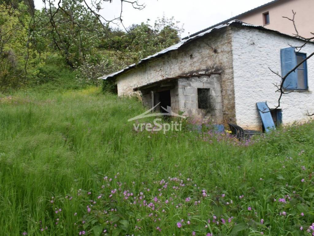 ΑΠΟΨΗ ΟΙΚΟΠΕΔΟΥ