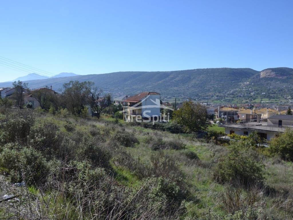 ΑΠΟΨΗ ΟΙΚΟΠΕΔΟΥ