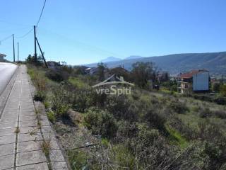 ΑΠΟΨΗ ΟΙΚΟΠΕΔΟΥ