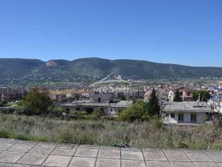 ΑΠΟΨΗ ΟΙΚΟΠΕΔΟΥ