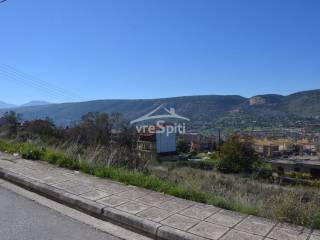 ΑΠΟΨΗ ΟΙΚΟΠΕΔΟΥ